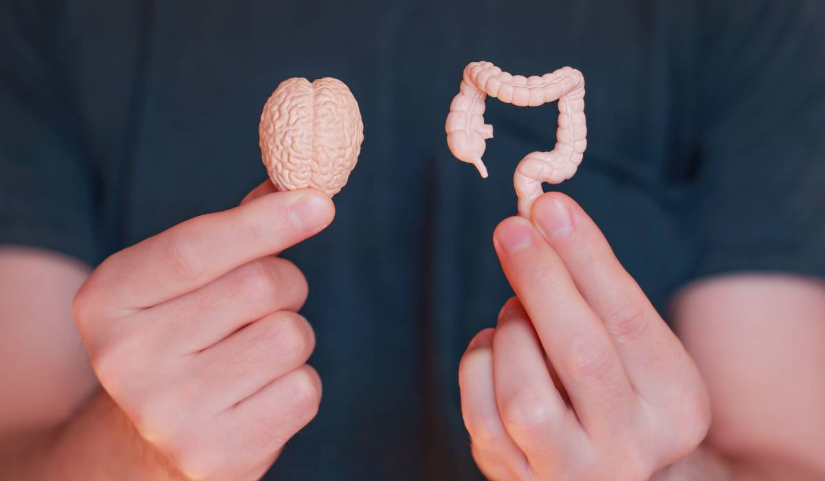 Stresul sărbătorilor: Cum sabotează digestia și pofta de mâncare