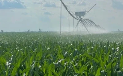 Danezi cu afaceri uriașe în agricultură: JD Agro Cocora, din nou pe profit în România