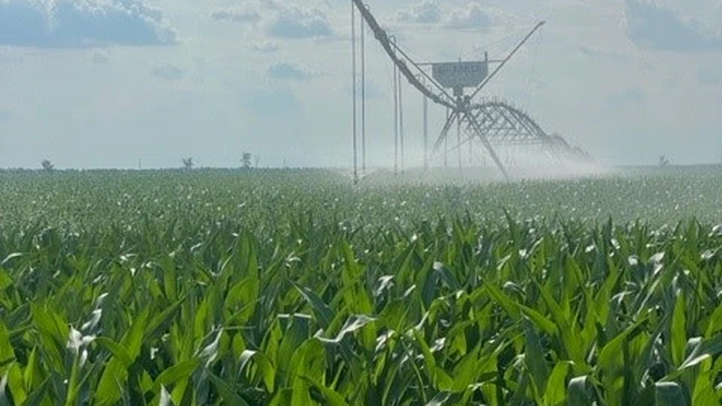 Danezi cu afaceri uriașe în agricultură: JD Agro Cocora, din nou pe profit în România