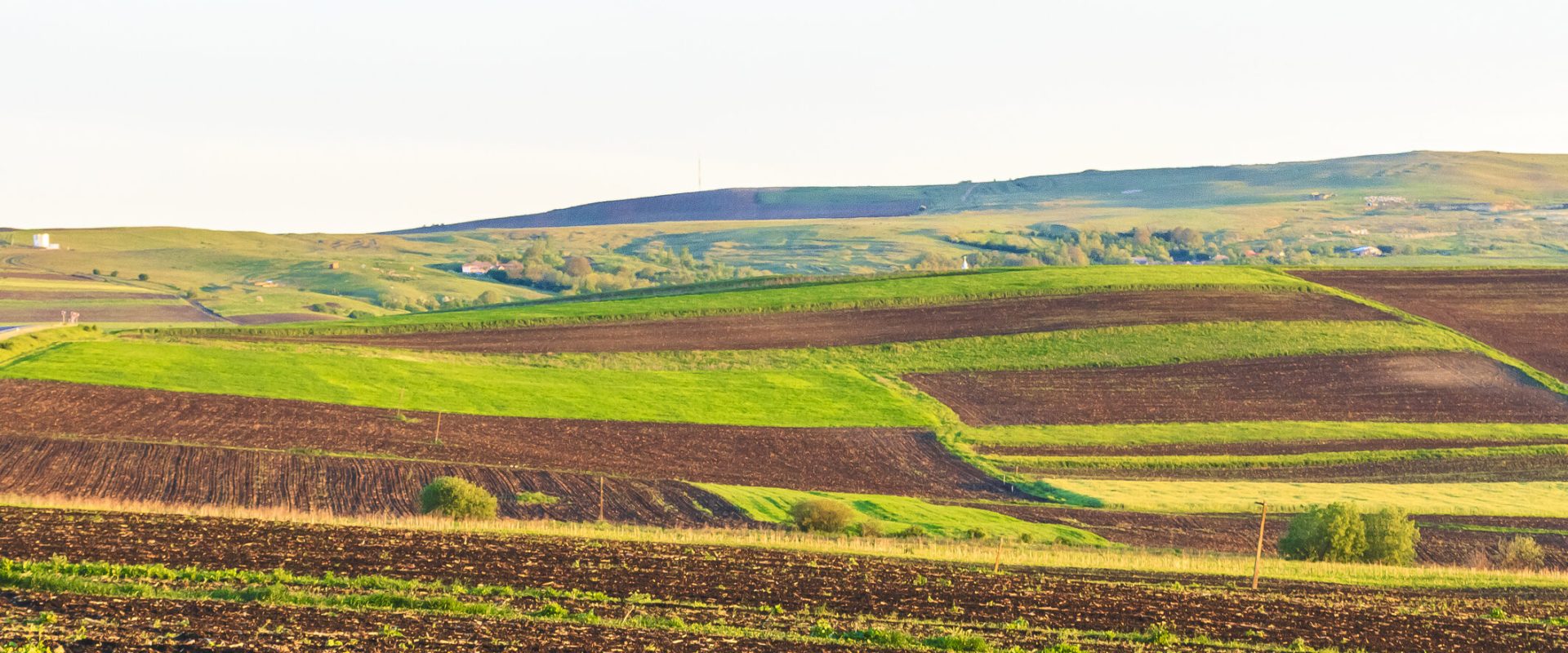 Arenda 2026: Ce drepturi și obligații au arendatorii și arendașii?