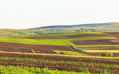 Arenda 2026: Ce drepturi și obligații au arendatorii și arendașii?