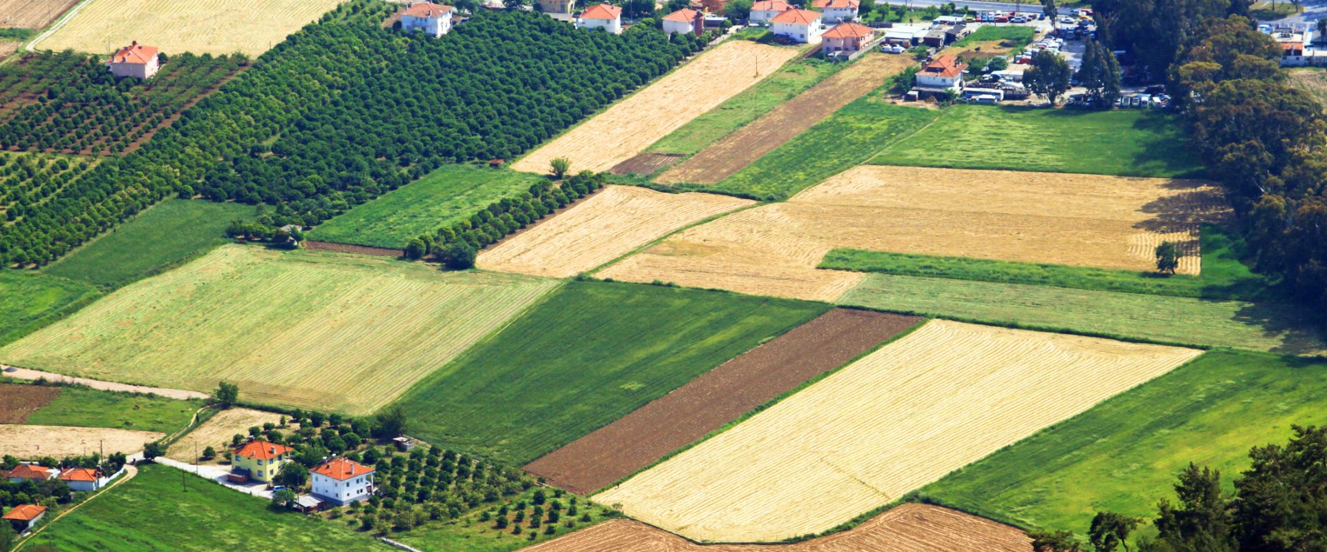 Gata de cumpărat teren în 2026? Documentele cheie pentru tranzacție