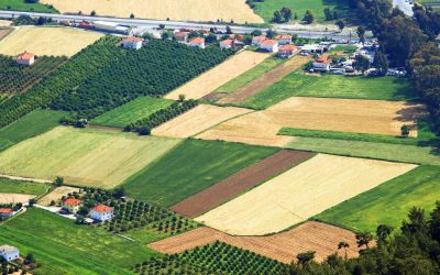 Gata de cumpărat teren în 2026? Documentele cheie pentru tranzacție