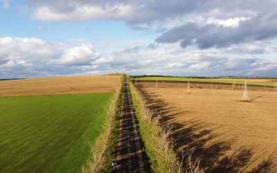 Ocuparea abuzivă de terenuri: Procese și sancțiuni. Cum îți aperi proprietatea de lege