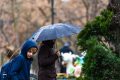 Meteo: Ploi torențiale în toată România. Cum va fi de 1 Mai la grătare?