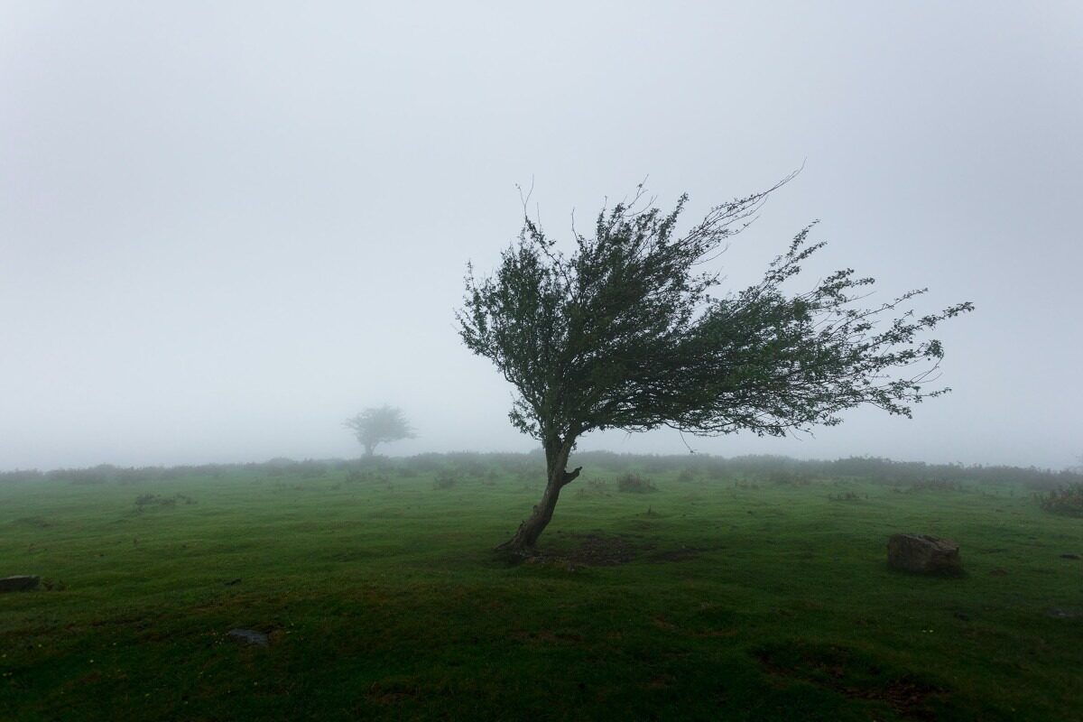 Avertisment meteo: Cod galben de vreme rea vineri și sâmbătă în România