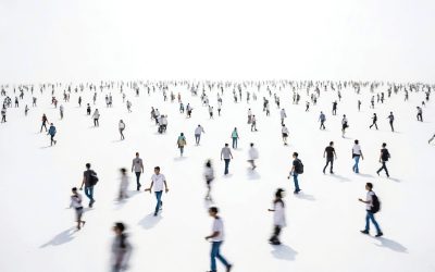 Șomajul lovește: Ocuparea forței de muncă, în scădere drastică în România