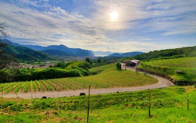 Case la un euro, afaceri gratis și bani pentru copii: Italia dă o șansă satelor