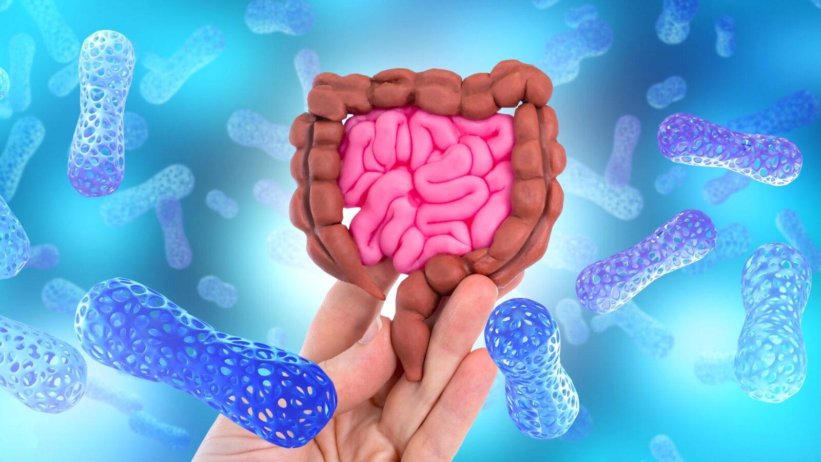 O proteină din intestin luptă cu bacteriile: Ce descoperire!