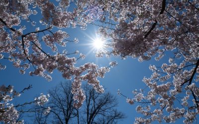 Meteorologii anunță: Cum va fi vremea de 1 Mai în România