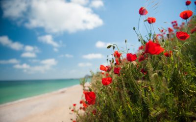 Vremea dă rateuri: Unde ninge de 1 Mai? Meteorologii anunță schimbări drastice