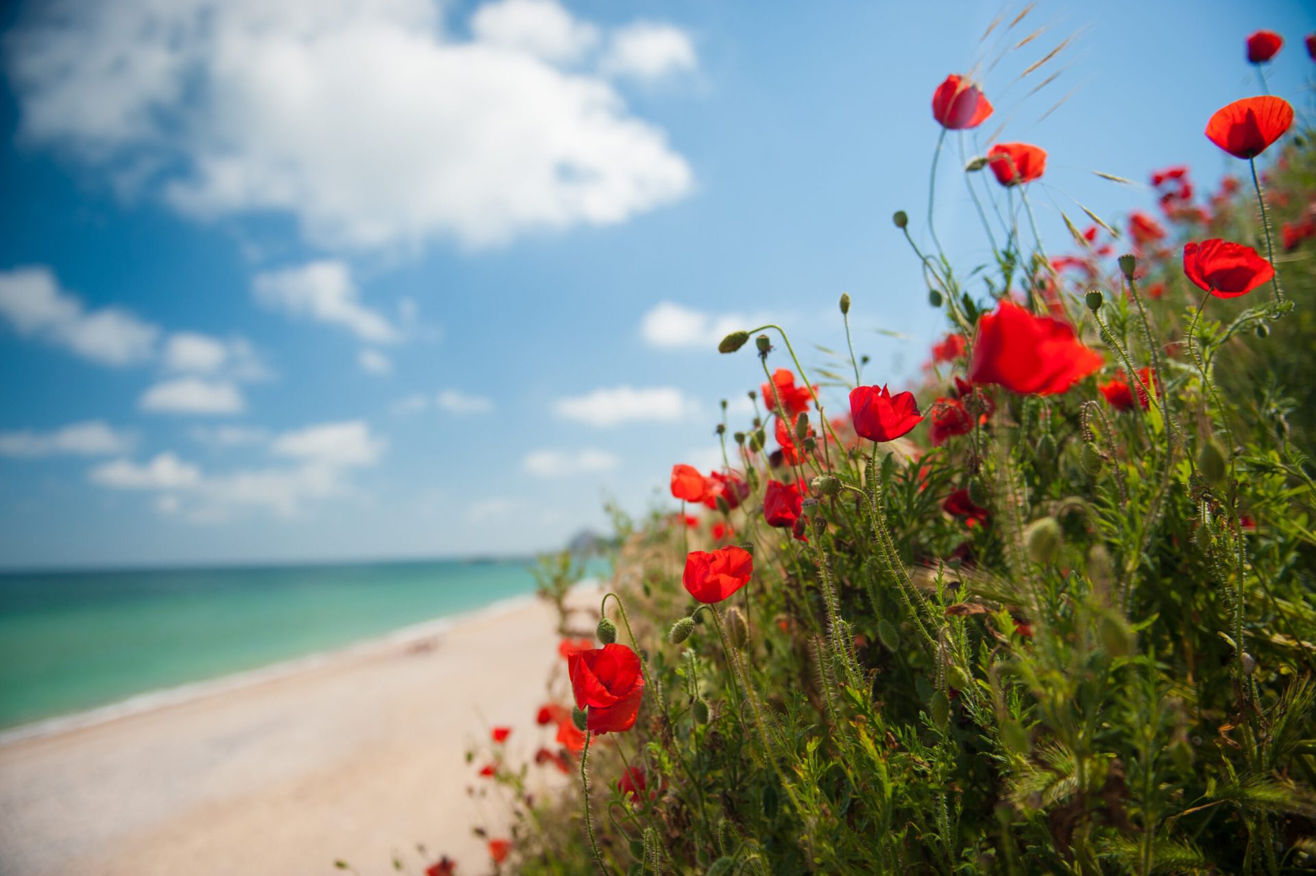 Vremea dă rateuri: Unde ninge de 1 Mai? Meteorologii anunță schimbări drastice