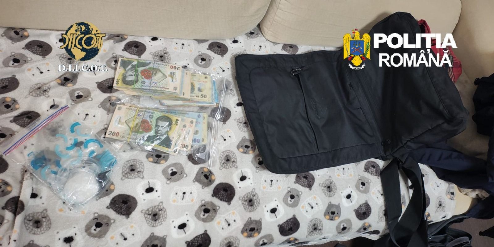 Canabis, cultivat în laborator în București și 4 județe. Mascații au intervenit