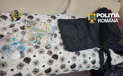 Canabis, cultivat în laborator în București și 4 județe. Mascații au intervenit