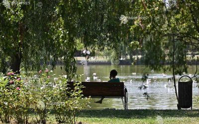 Vreme de weekend la București: Soare, dar vântul dă târcoale!