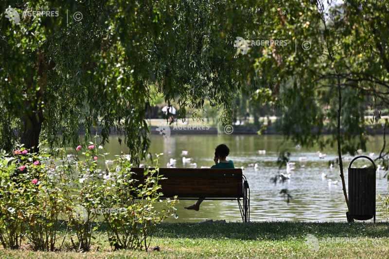 Vreme de weekend la București: Soare, dar vântul dă târcoale!