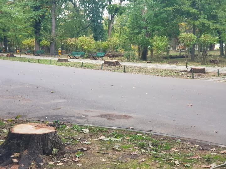 Bucureștenii decid viitorul Parcului Herăstrău: Cum îl vor după restaurare?