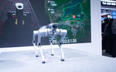 Robocâinele spion din China: Omul cumpărător, raportat de câine!