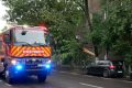 Furtună Violet în București: Un mort în Ilfov, copaci și acoperișuri doborâte