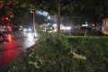 București sub alertă METEO: Cod roșu de ploi și vijelii