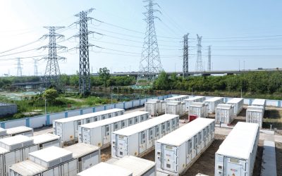Dunărea, motorul electric al Bulgariei: Exporturi istorice, baterii peste reactoare