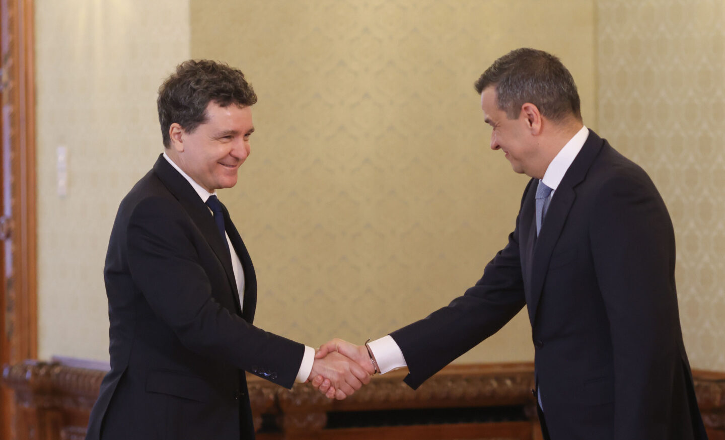Nicosor Dan, iritat de PSD: Blocaj legi PNRR