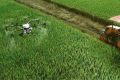 Agricultura, scăpată de loterie