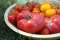 August, roșii coapte: Sfatul lui Monty Don