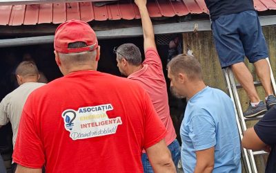 100+ case izolate, electrificate în șase ani prin programul Energie pentru Viață