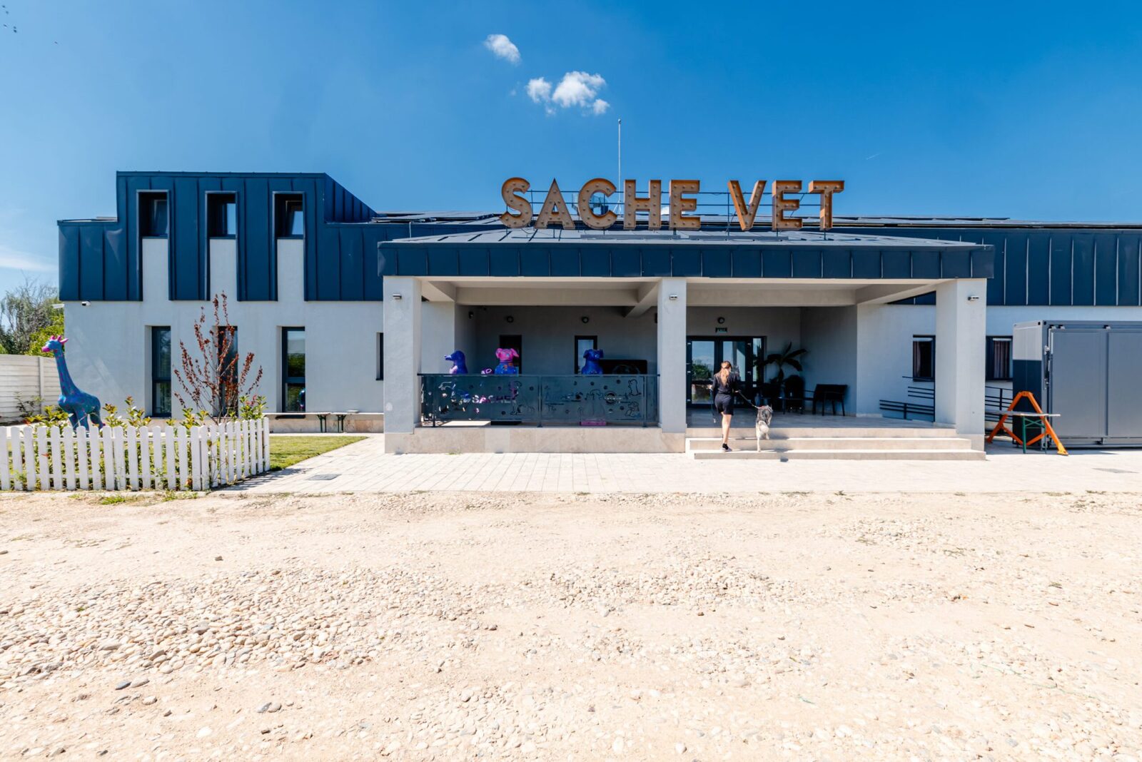 Spital veterinar social lângă București, 5.000 de animale salvate