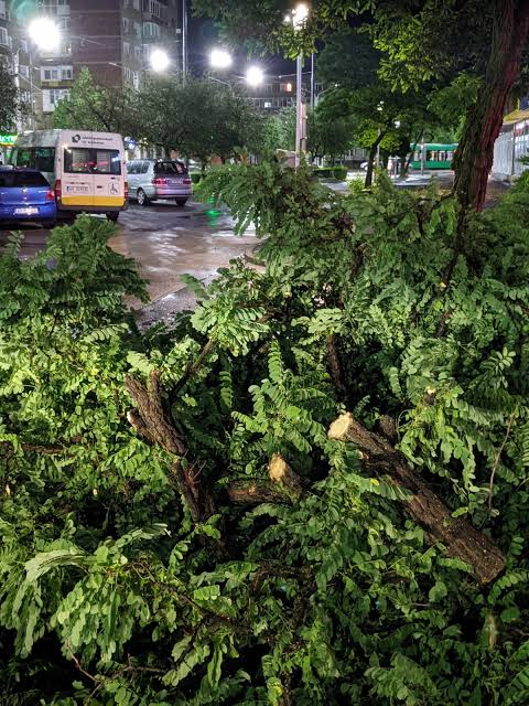 Furtună devastatoare în Arad: Copaci pe mașini și trotuare