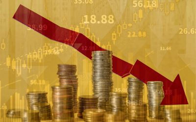 Consilier prezidențial: Economia e la limită, anul s-ar putea încheia în recesiune