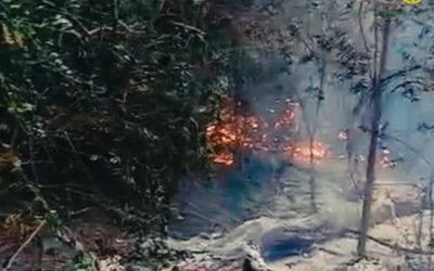 Incendiu Pădure Plauru: Drone explodate, cauza probabilă