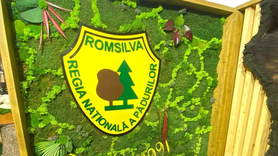 Dolj: Peste 5,5 mil. Lei pentru împăduriri la Dăbuleni