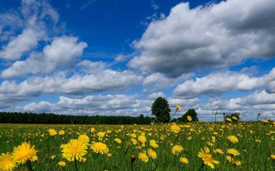 Kurze Pause vor der nächsten Hitze - 36 Grad am Wochenende