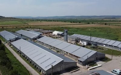 Roca Industry, blocaj la Workshop Doors: Auditul ridică semne de întrebare