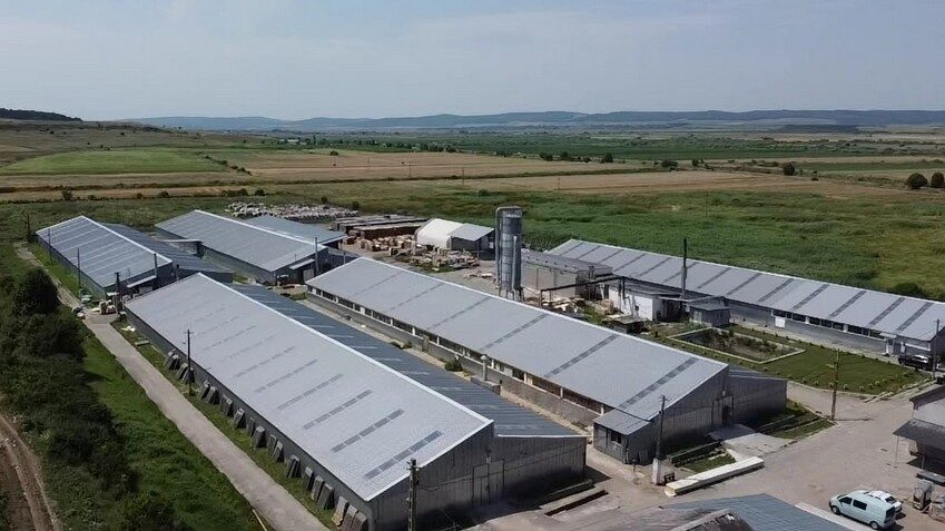 Roca Industry, blocaj la Workshop Doors: Auditul ridică semne de întrebare