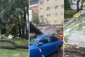 Furtună devastatoare: Inundații, acoperișuri smulse și mașini distruse