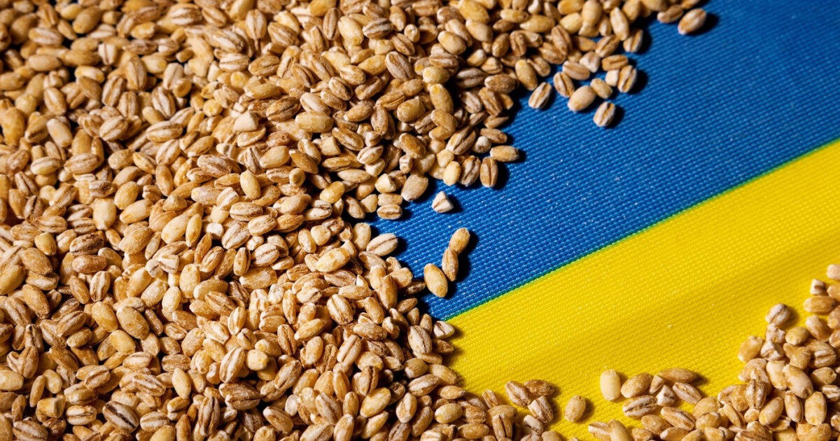 Portul Constanța vital. Ucraina cere coridor prin Moldova