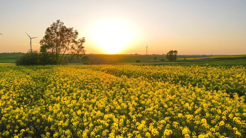 Pesticide din import: UE strânge lațu’, fermele cresc prețurile