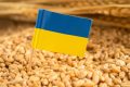 Ucraina cere UE 220 mil. Euro pentru agricultură afectată