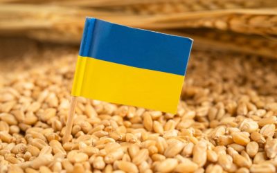 Ucraina cere UE 220 mil. Euro pentru agricultură afectată