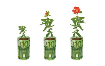 Fermieri și grădinari: 100.000 EUR pentru flori și plante, ghid AFIR DR-18