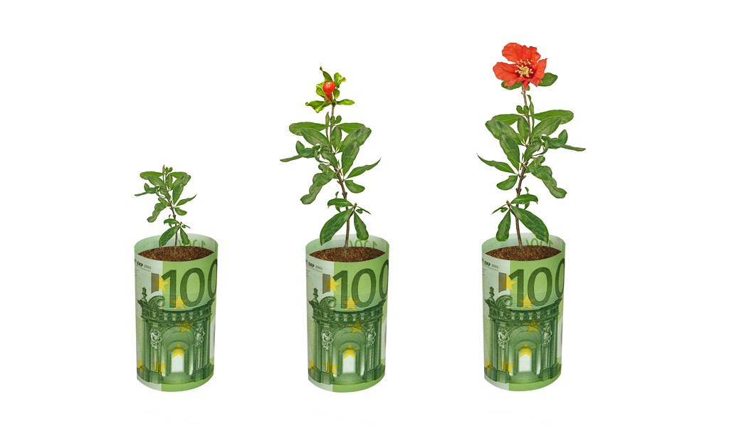Fermieri și grădinari: 100.000 EUR pentru flori și plante, ghid AFIR DR-18