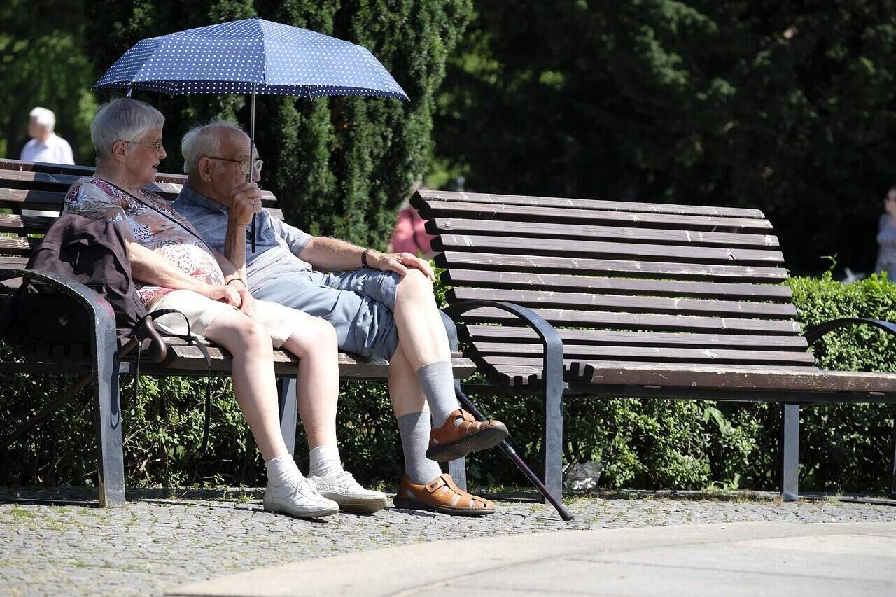 Pensii private: Active de 237 mld lei, urcare 39% în 12 luni