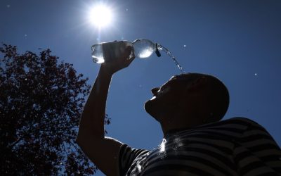 Val de căldură în Germania: Când scade temperatura