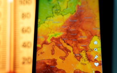 Peste 35.000 de morți în Europa din cauza caniculei din vară