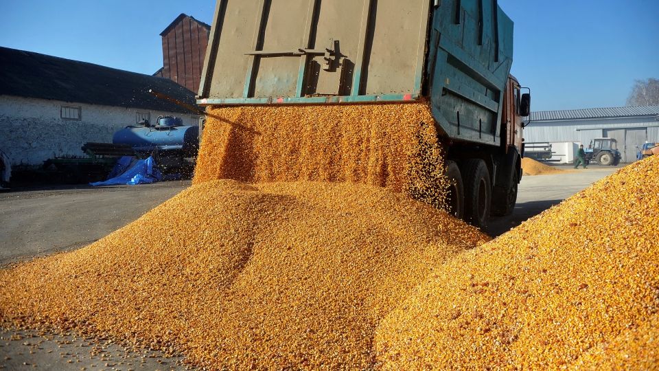 AAC cere clarificări: Control UE la graniță, fermierii români protejați
