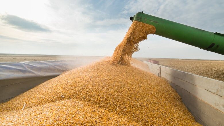 Ucraina pe șine spre Constanța: Cerealele vin prin Moldova