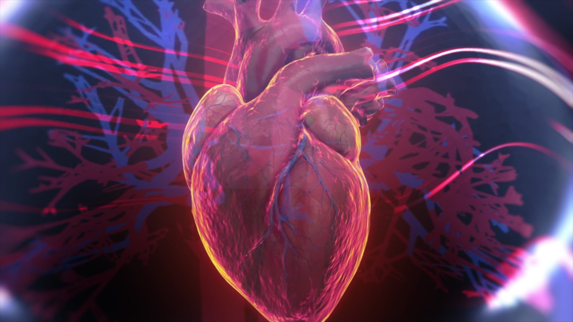 Cadavrele digitale, bisturiu virtual în medicină